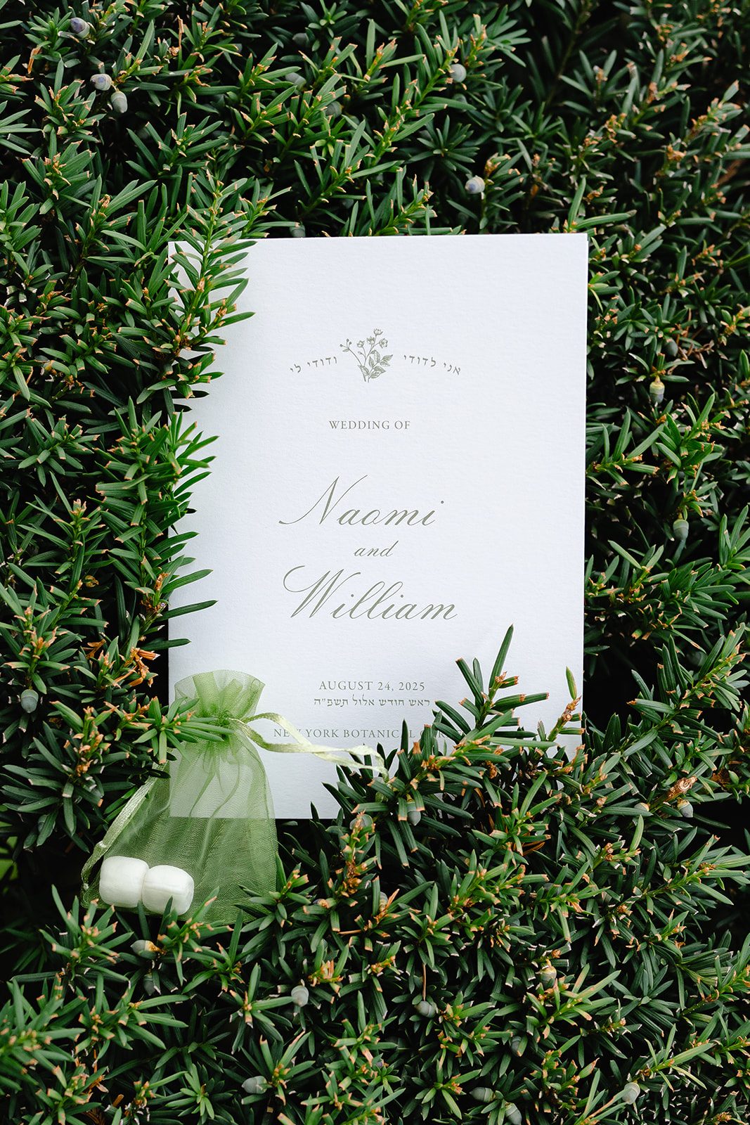 Naomi & William wedding, photographed by Daria for Motion of Time
